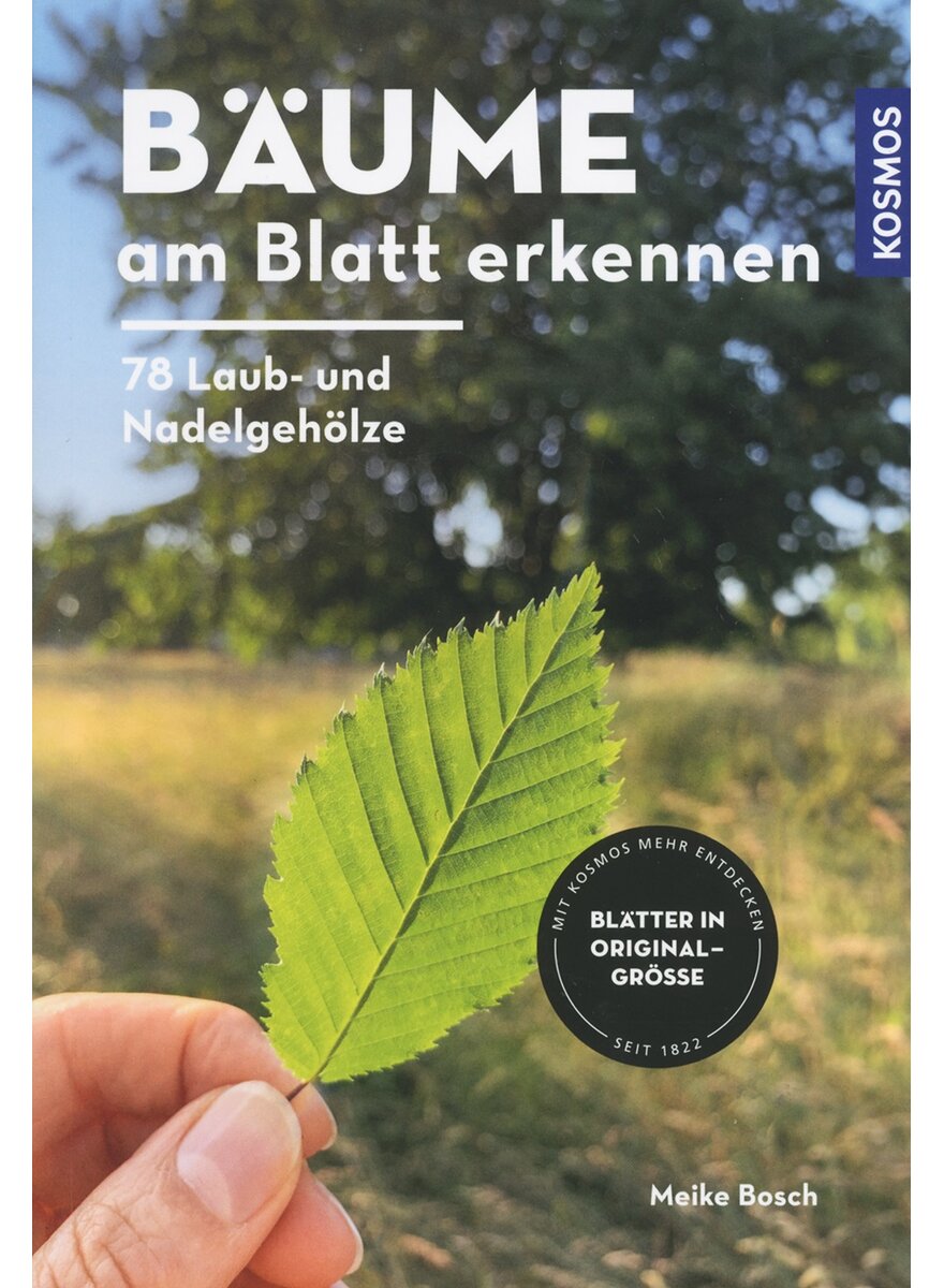 BUME AM BLATT ERKENNEN - MEIKE BOSCH