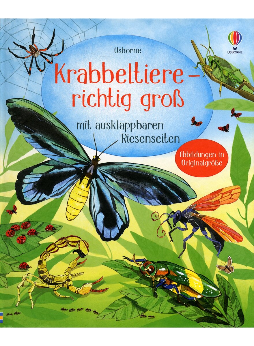 KRABBELTIERE - RICHTIG GRO -