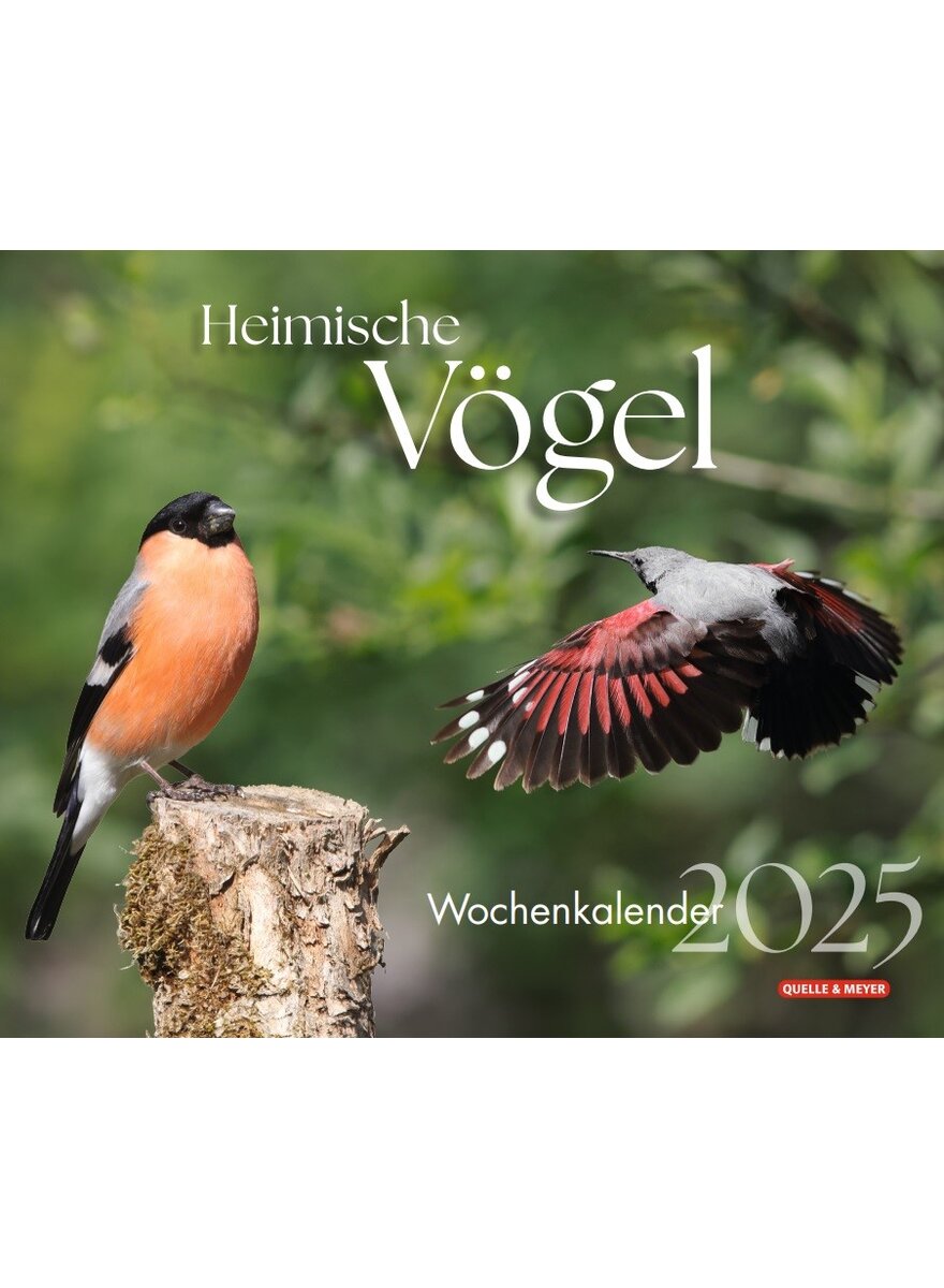 HEIMISCHE VGEL 2025 WOCHEN- KALENDER