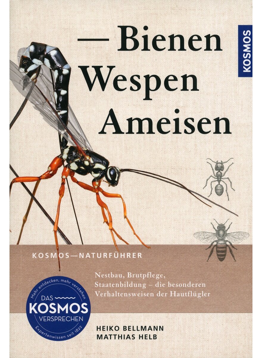 Auf diesem Bild sehen Sie das Produktbild 1 fr BIENEN, WESPEN, AMEISEN - BELLMANN/HELB