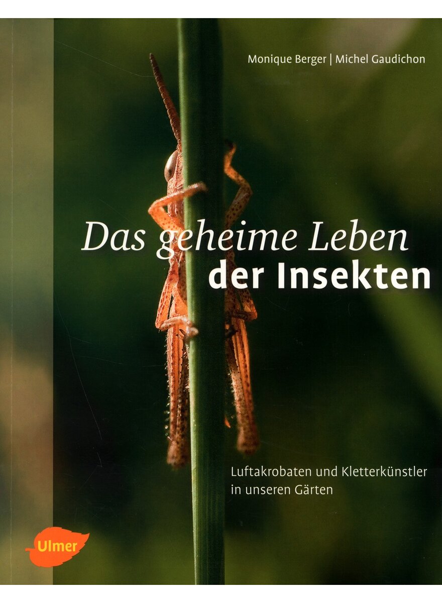 Auf diesem Bild sehen Sie das Produktbild 1 fr DAS GEHEIME LEBEN DER INSEKTEN - BERGER/GAUDICHON