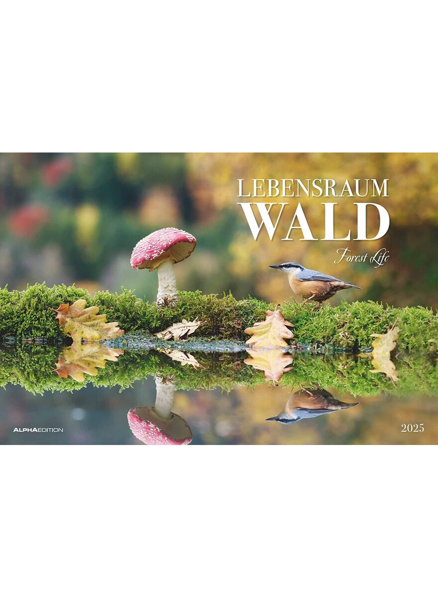 Auf diesem Bild sehen Sie das Produktbild 1 fr KALENDER LEBENSRAUM WALD 2025 -