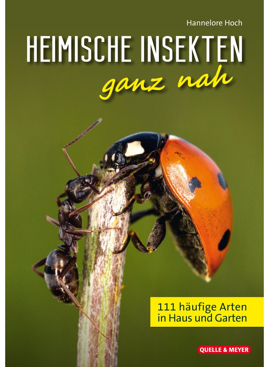 HEIMISCHE INSEKTEN GANZ NAH - HANNELORE HOCH