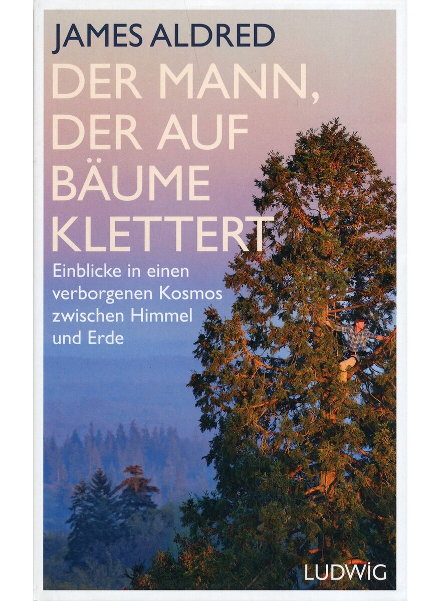 DER MANN, DER AUF BUME KLETTERT - JAMES ALDRED
