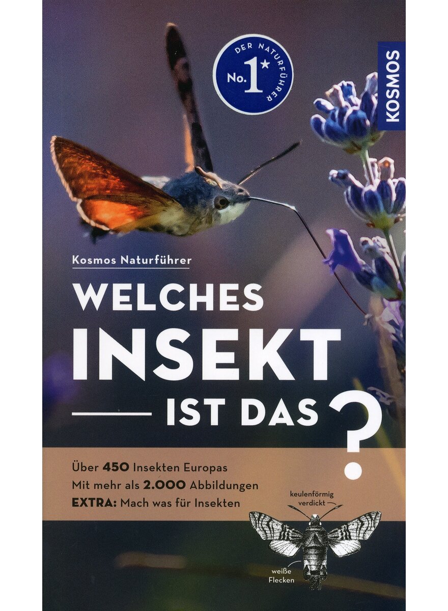 Auf diesem Bild sehen Sie das Produktbild 1 fr WELCHES INSEKT IST DAS? - HEIKO BELLMANN