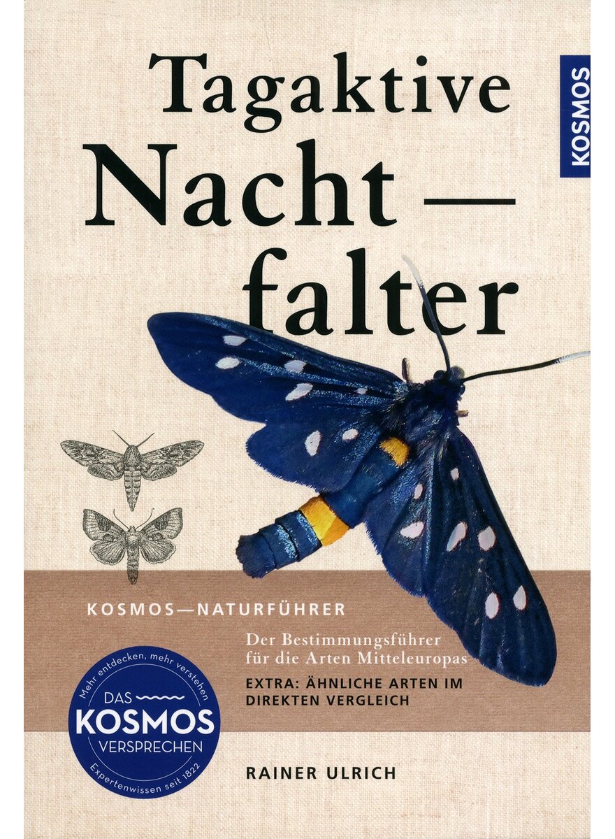TAGAKTIVE NACHTFALTER - RAINER ULRICH