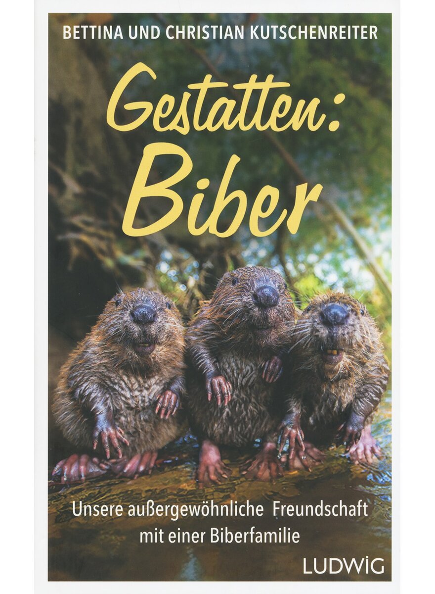 Auf diesem Bild sehen Sie das Produktbild 1 fr GESTATTEN: BIBER - BETTINA UND CHRISTIAN KUTSCHENREITER