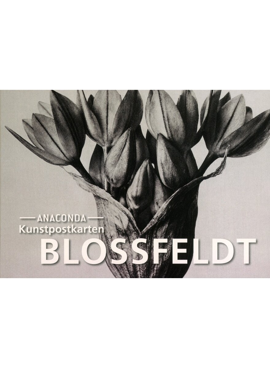 Auf diesem Bild sehen Sie das Produktbild 1 fr KUNSTPOSTKARTEN BLOSSFELDT -