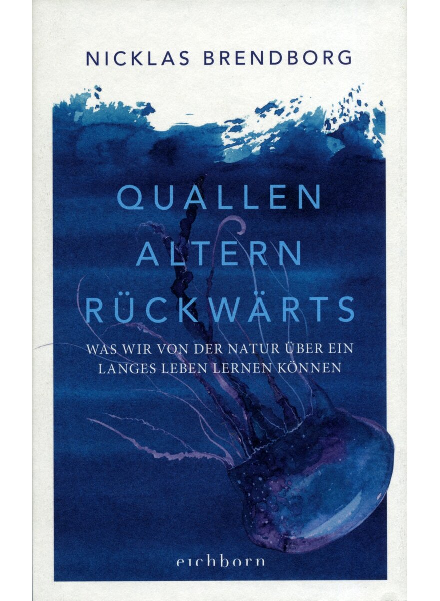 QUALLEN ALTERN RCKWRTS - NICKLAS BRENDBORG
