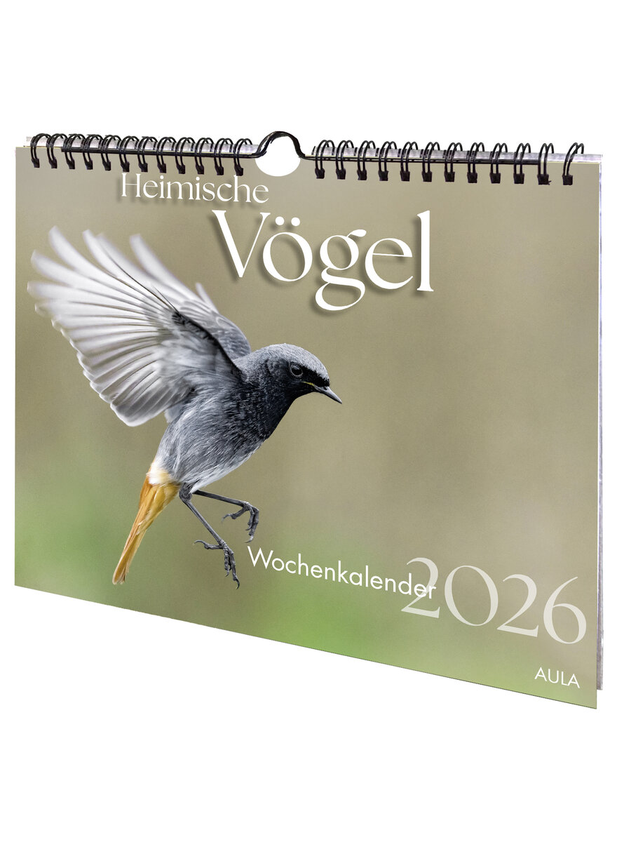 Auf diesem Bild sehen Sie das Produktbild 1 fr KALENDER HEIMISCHE VGEL 2026