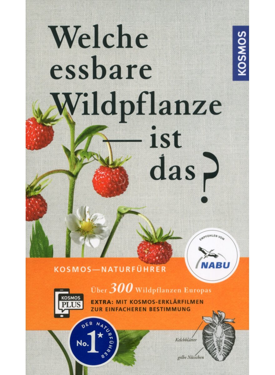 Dieses Bild zeigt das Bild 1 zu Artikelnummer 6208469