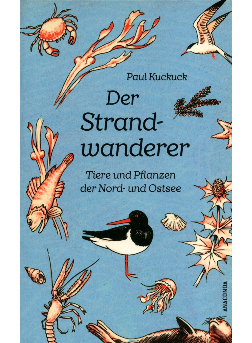 Auf diesem Bild sehen Sie das Produktbild 1 fr DER STRANDWANDERER - PAUL KUCKUCK