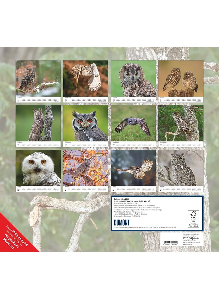 Auf diesem Bild sehen Sie das Produktbild 2 fr KALENDER GELIEBTE EULEN 2026 -