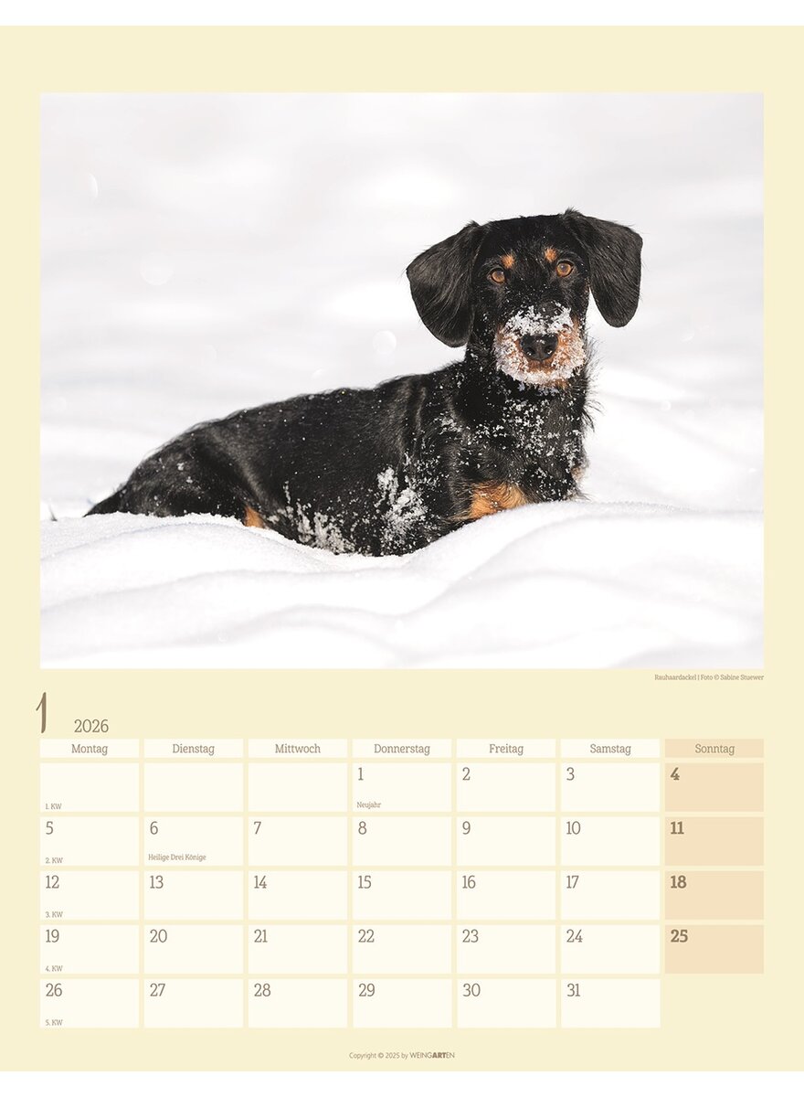Auf diesem Bild sehen Sie das Produktbild 2 fr KALENDER DACKEL 2026 -