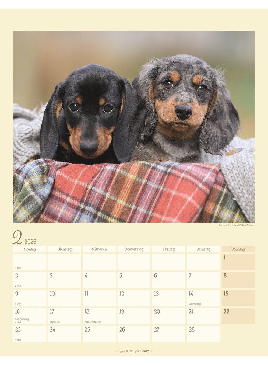 Auf diesem Bild sehen Sie das Produktbild 3 fr KALENDER DACKEL 2026 -
