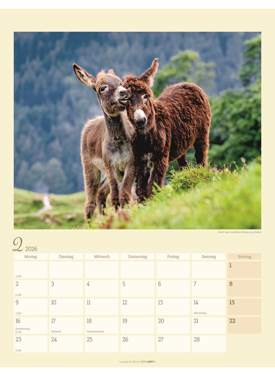Auf diesem Bild sehen Sie das Produktbild 3 fr KALENDER ESEL 2026 - HUBERT/KLEIN