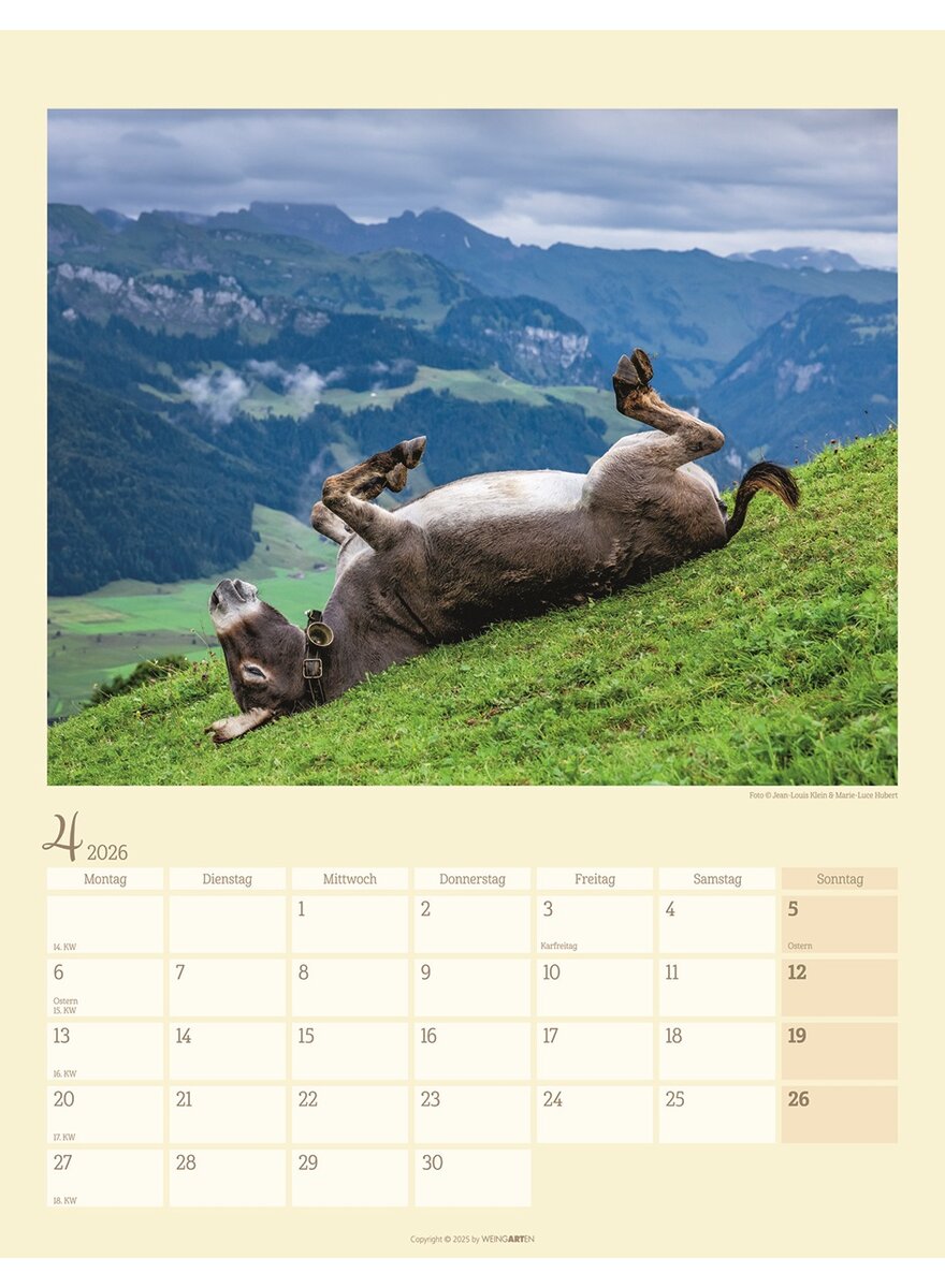 Auf diesem Bild sehen Sie das Produktbild fr 5 KALENDER ESEL 2026 - HUBERT/KLEIN