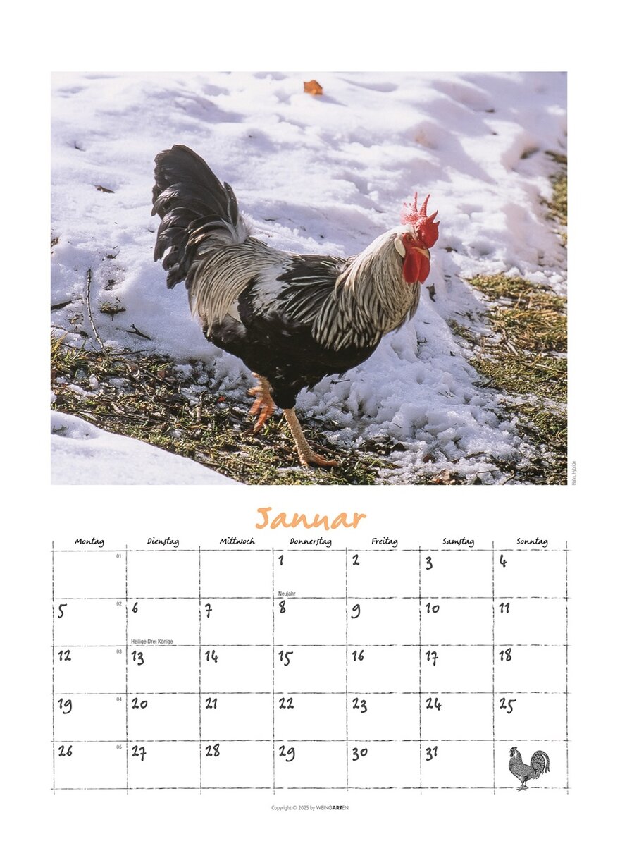 Auf diesem Bild sehen Sie das Produktbild 2 fr DER HHNERKALENDER 2026 - WOLF-DIETMAR UNTERWEGER