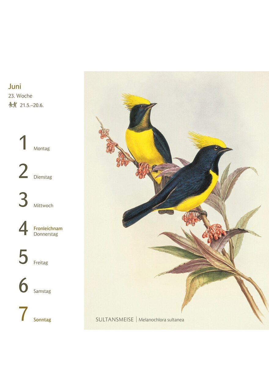 Auf diesem Bild sehen Sie das Produktbild 4 fr POSTKARTENKALENDER VGEL 2026 -
