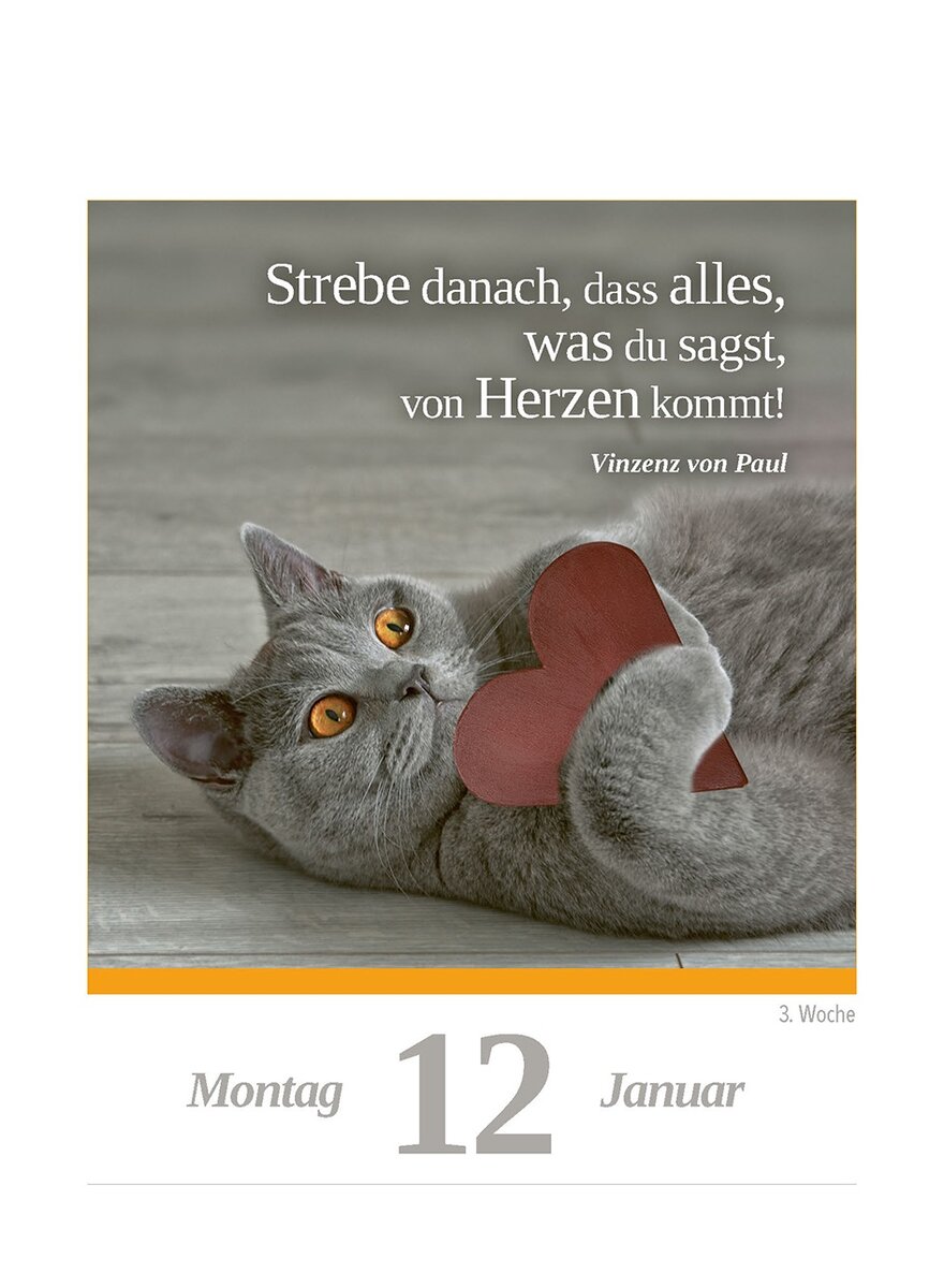 Auf diesem Bild sehen Sie das Produktbild 4 fr KALENDER EINE KATZE FR JEDEN TAG 2026 -