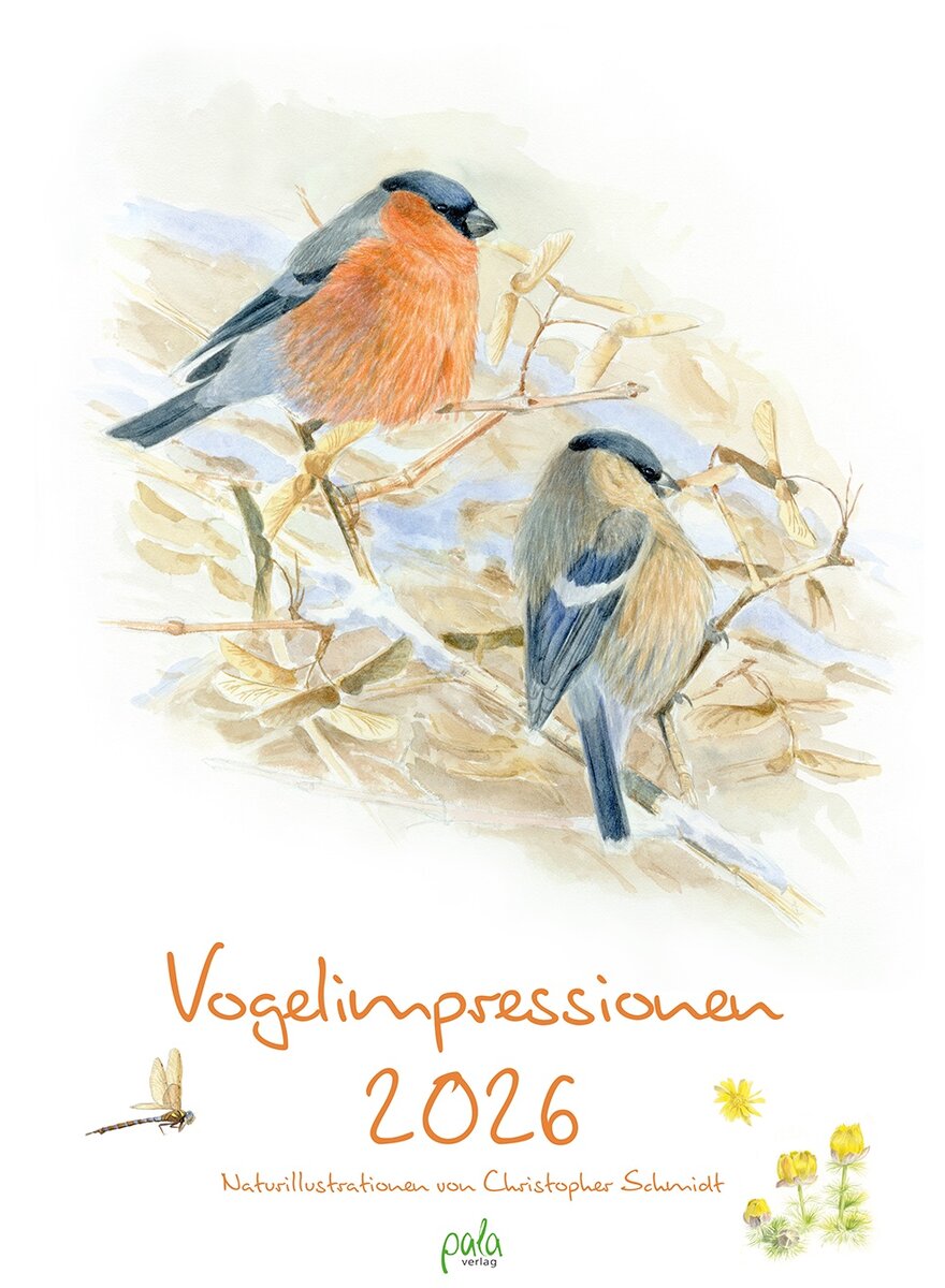 Auf diesem Bild sehen Sie das Produktbild 1 fr KALENDER VOGELIMPRESSIONEN 2026 - CHRISTOPHER SCHMIDT