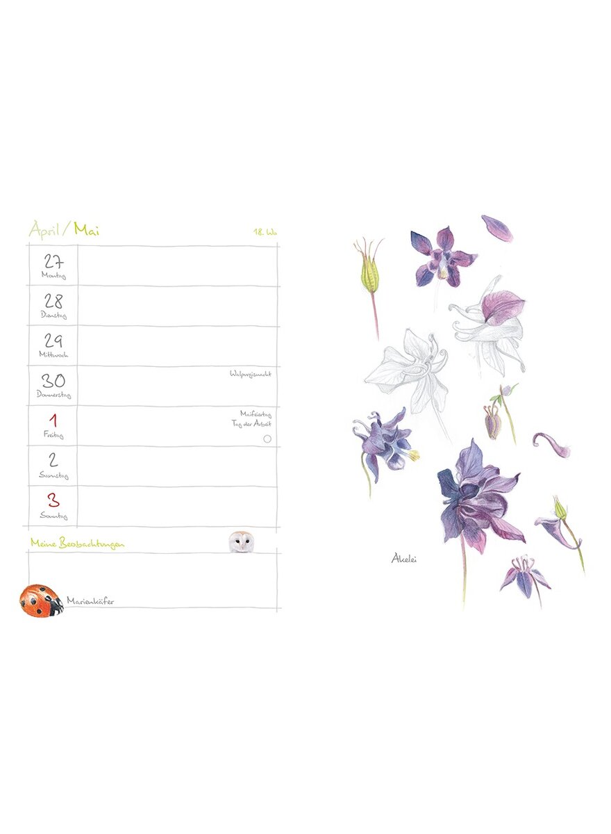 Auf diesem Bild sehen Sie das Produktbild 3 fr MEIN NATURKALENDER 2026 - CHRISTOPHER SCHMIDT