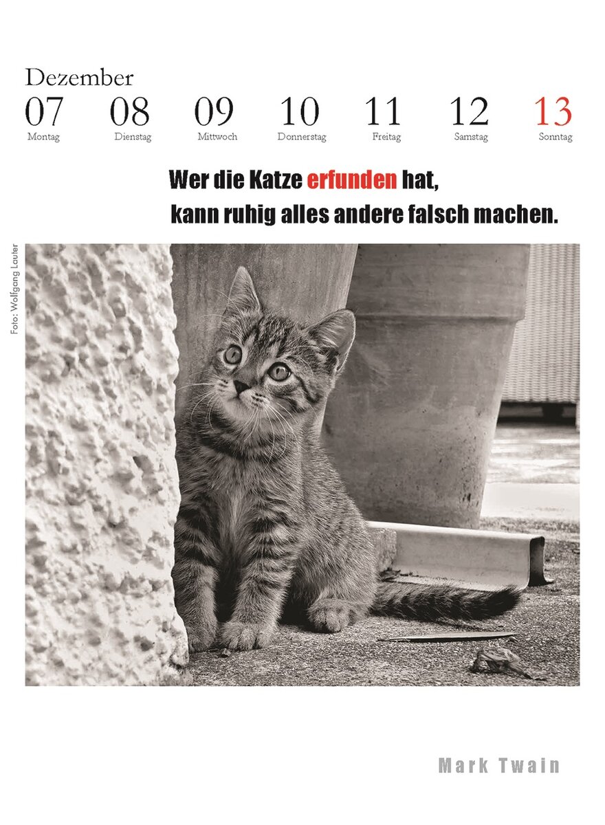 Auf diesem Bild sehen Sie das Produktbild fr 5 DER LITERARISCHE KATZEN- KALENDER 2026 - J. BACHSTEIN