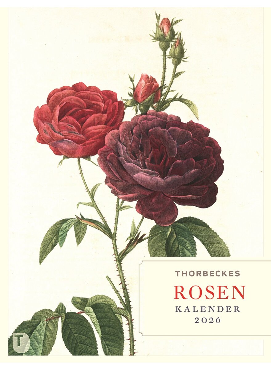 Auf diesem Bild sehen Sie das Produktbild 1 fr THORBECKES ROSEN-KALENDER 2026 - WOCHENKALENDER