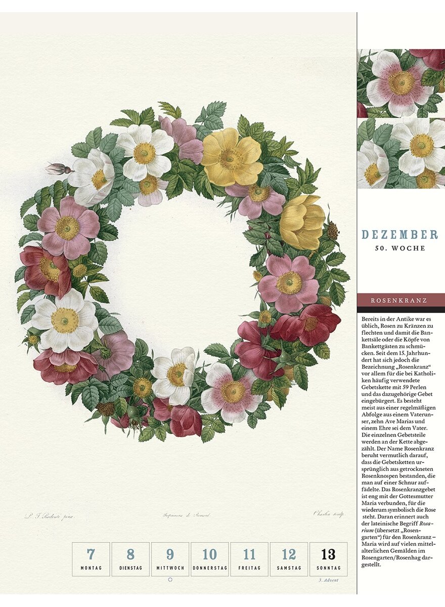 Auf diesem Bild sehen Sie das Produktbild fr 5 THORBECKES ROSEN-KALENDER 2026 - WOCHENKALENDER