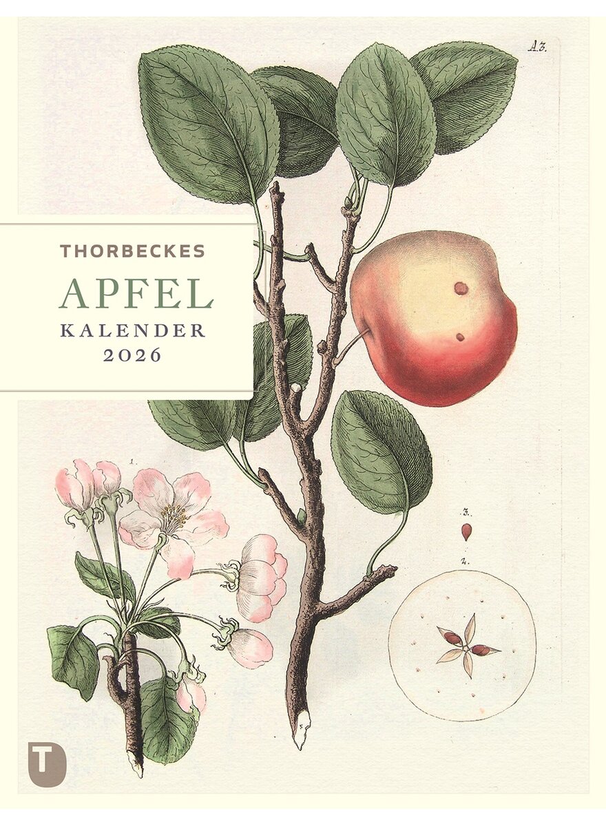 Auf diesem Bild sehen Sie das Produktbild 1 fr THORBECKES APFEL-KALENDER 2026 - WOCHENKALENDER