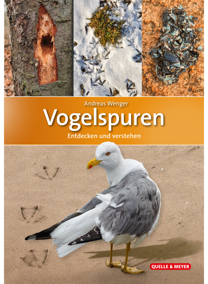 Auf diesem Bild sehen Sie das Produktbild 1 fr VOGELSPUREN - ANDREAS WENGER