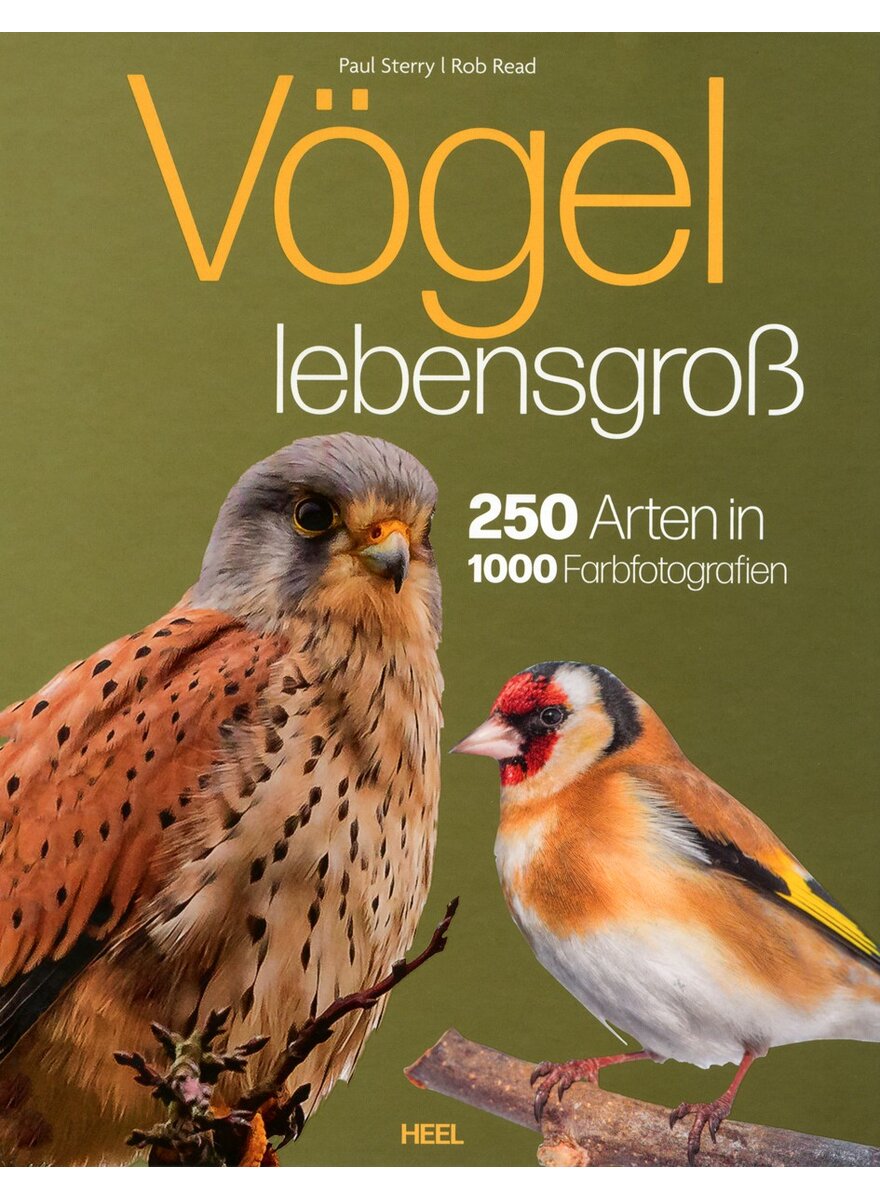 Auf diesem Bild sehen Sie das Produktbild 1 fr VGEL LEBENSGRO - STERRY/READ