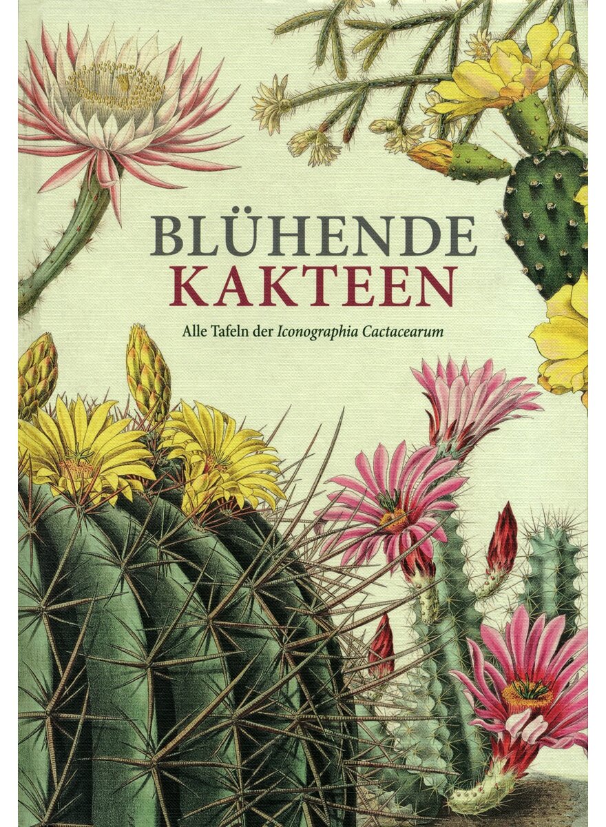 Auf diesem Bild sehen Sie das Produktbild 1 fr BLHENDE KAKTEEN - DETLEV METZING (HRSG.) ALLE TAFELN DER ICONOGRAPHIA C