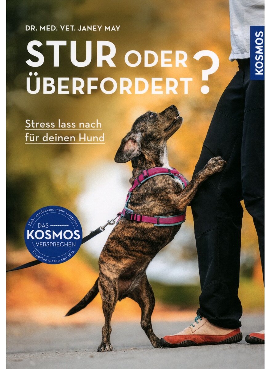 Auf diesem Bild sehen Sie das Produktbild 1 fr STUR ODER BERFORDERT? - JANEY MAY