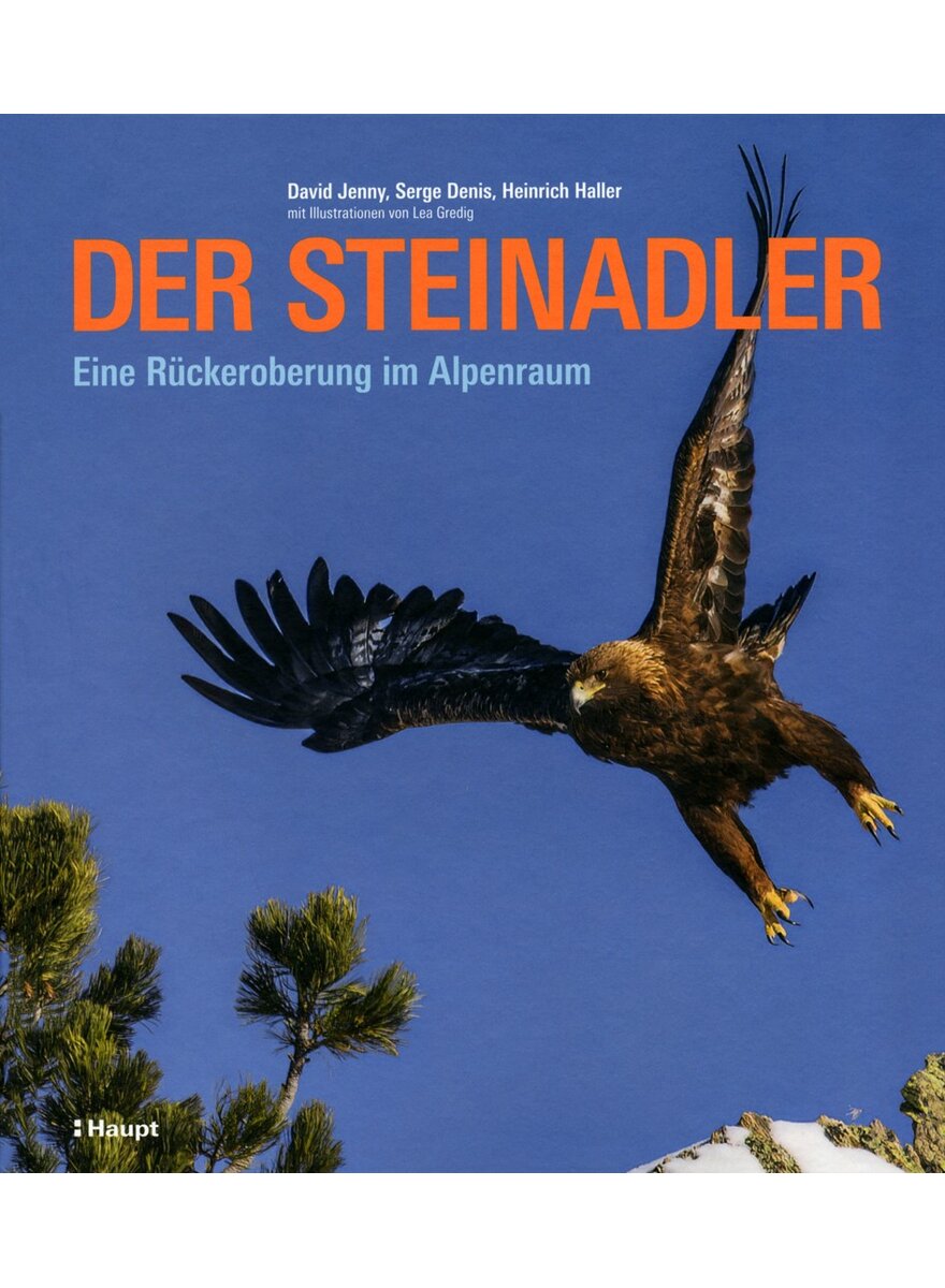 Auf diesem Bild sehen Sie das Produktbild 1 fr DER STEINADLER - JENNY/DENIS/HALLER