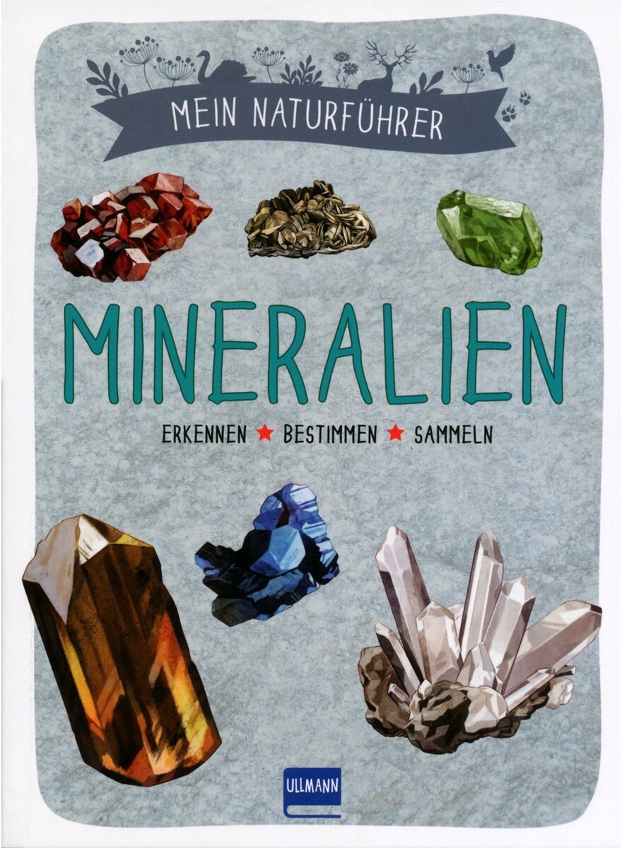 Auf diesem Bild sehen Sie das Produktbild 1 f�r MEIN NATURF�HRER MINERALIEN - DENIS/BIHAN