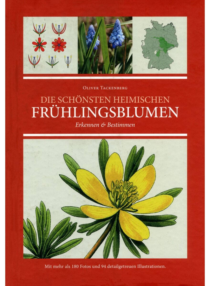 Auf diesem Bild sehen Sie das Produktbild 1 f�r DIE SCH�NSTEN HEIMISCHEN FR�HLINGSBLUMEN OLIVER TACKENBERG