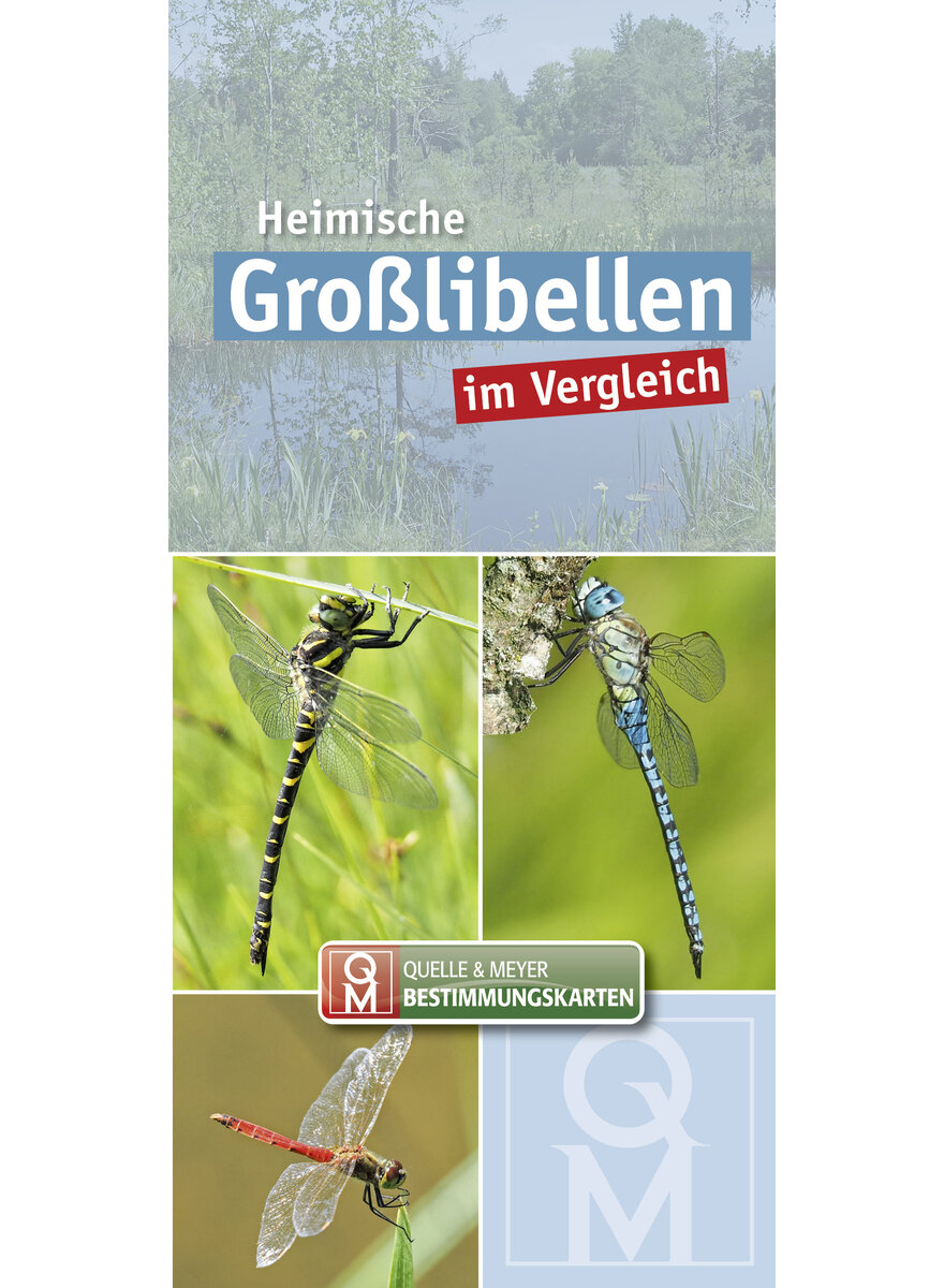 Auf diesem Bild sehen Sie das Produktbild 1 f�r HEIMISCHE GRO�LIBELLEN IM VERGLEICH - QUELLE & MEYER BESTIMMUNGSKARTE