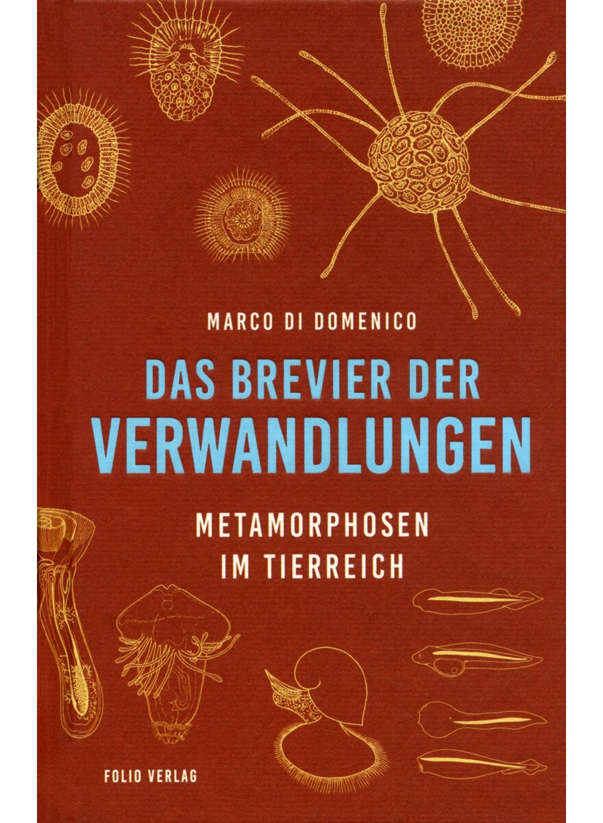 Auf diesem Bild sehen Sie das Produktbild 1 f�r DAS BREVIER DER VERWANDLUNGEN - MARCO DI DOMENICO