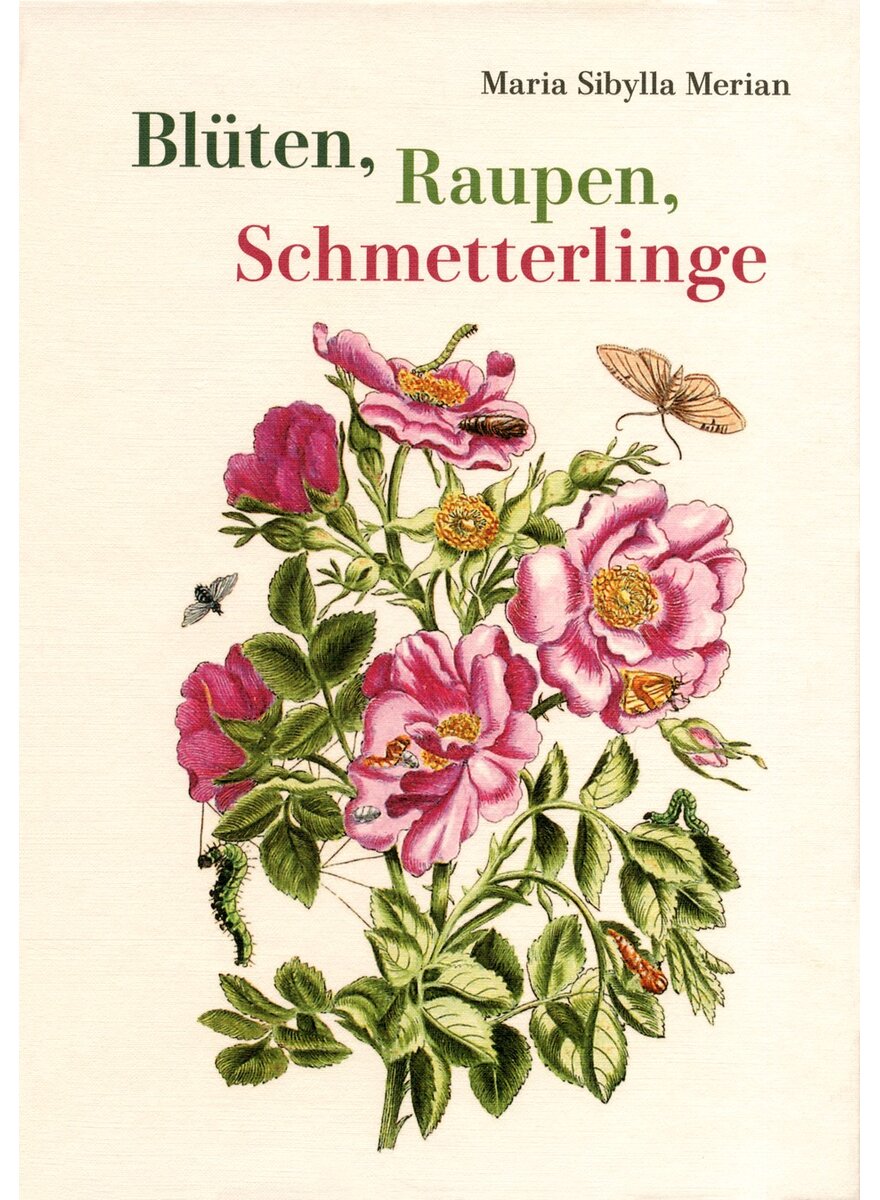 Auf diesem Bild sehen Sie das Produktbild 1 f�r BL�TEN, RAUPEN, SCHMETTERLINGE - MARIA SIBYLLA MERIAN