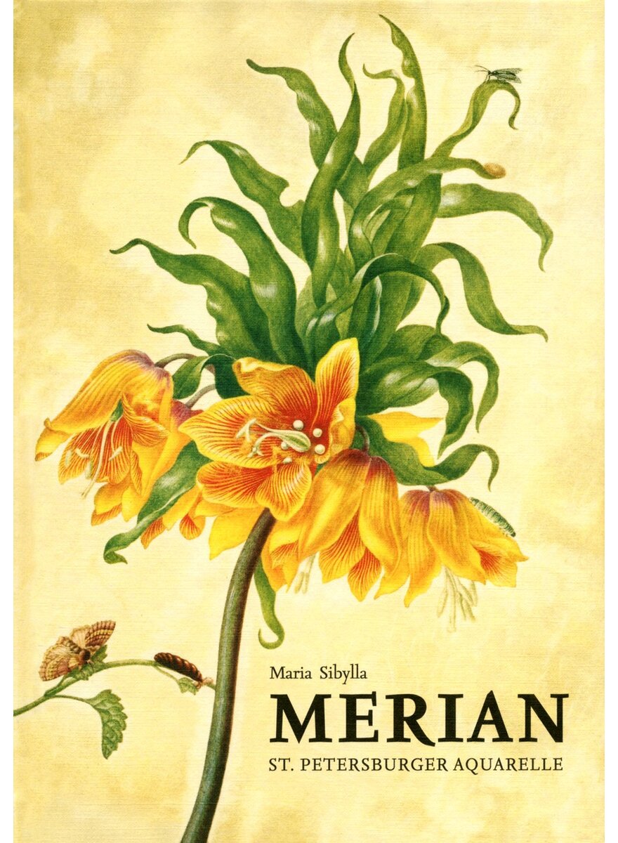 Auf diesem Bild sehen Sie das Produktbild 1 f�r ST. PETERSBURGER AQUARELLE - MARIA SIBYLLA MERIAN