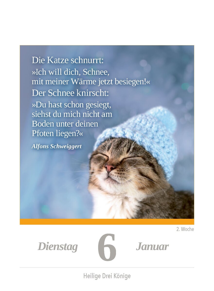 Auf diesem Bild sehen Sie das Produktbild 3 f�r KALENDER EINE KATZE F�R JEDEN TAG 2027 -