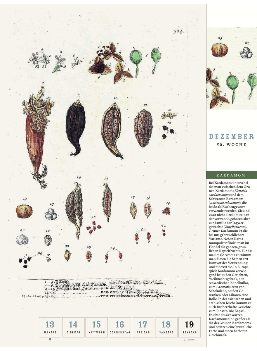 Auf diesem Bild sehen Sie das Produktbild 4 f�r THORBECKES GEW�RZE-KALENDER 2027 -