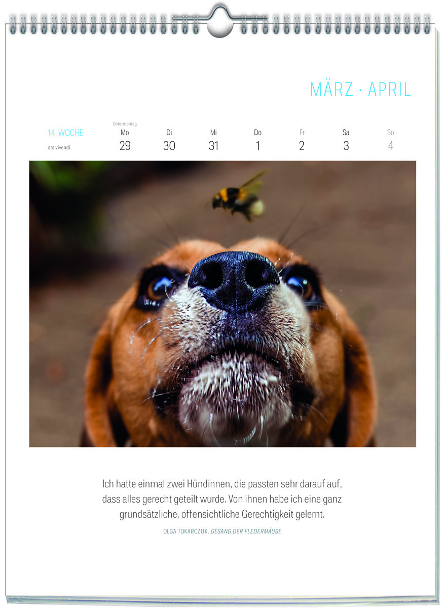 Auf diesem Bild sehen Sie das Produktbild 2 f�r LITERARISCHER HUNDE-KALENDER 2027 -