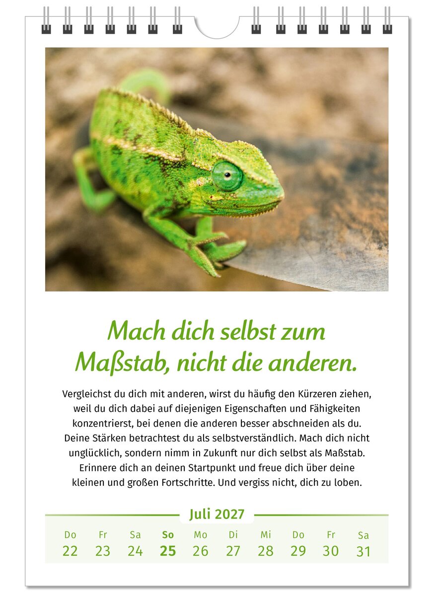 Auf diesem Bild sehen Sie das Produktbild 3 f�r DER LEBENSFREUDE-KALENDER 2027