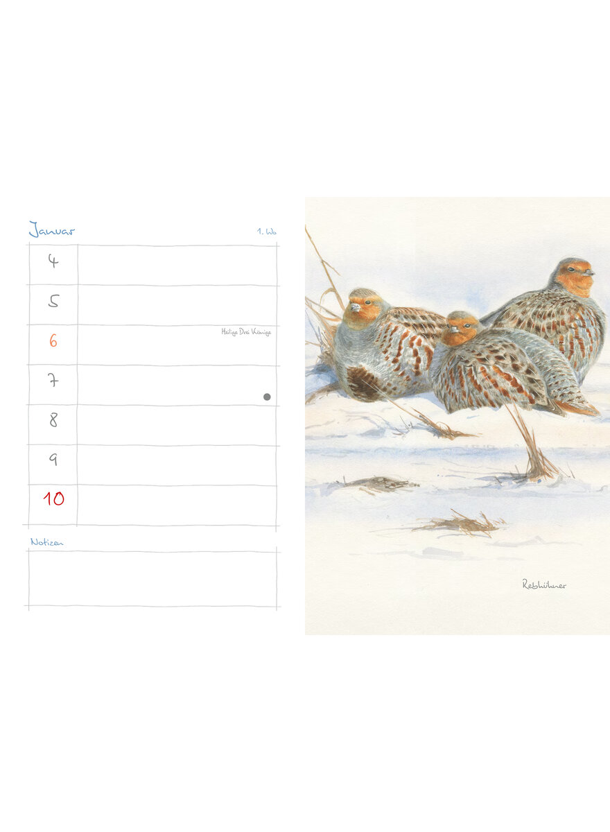 Auf diesem Bild sehen Sie das Produktbild 2 f�r MEIN NATURKALENDER 2027 - CHRISTOPHER SCHMIDT