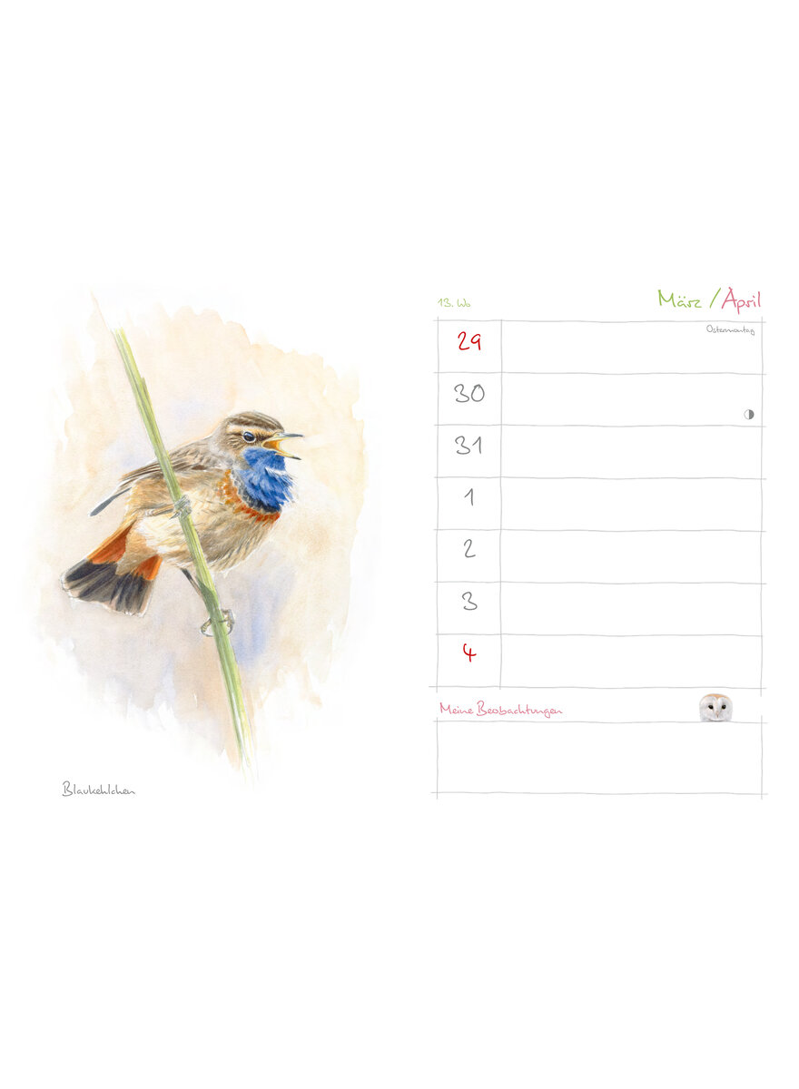 Auf diesem Bild sehen Sie das Produktbild 4 f�r MEIN NATURKALENDER 2027 - CHRISTOPHER SCHMIDT