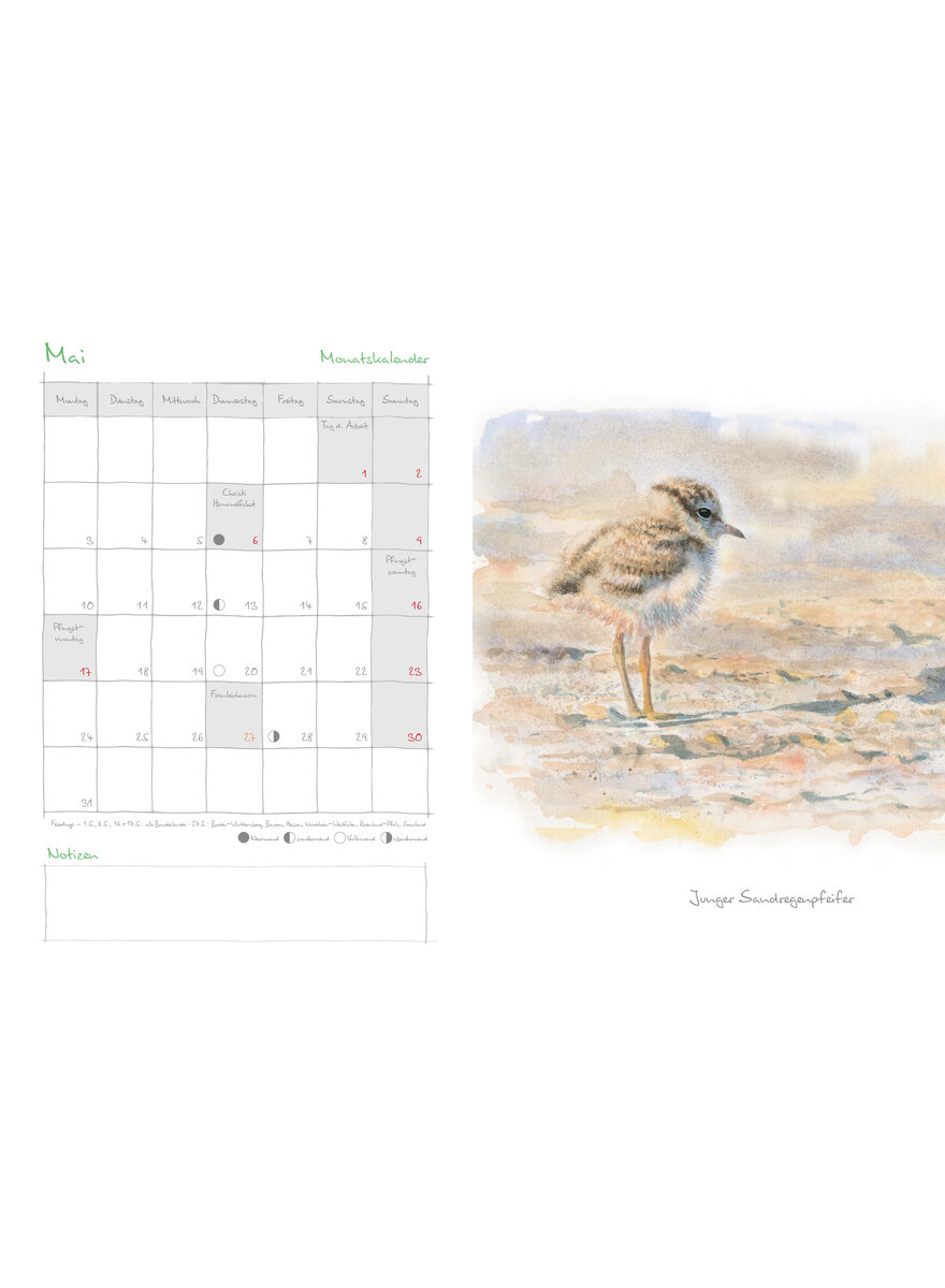 Auf diesem Bild sehen Sie das Produktbild f�r 5 MEIN NATURKALENDER 2027 - CHRISTOPHER SCHMIDT