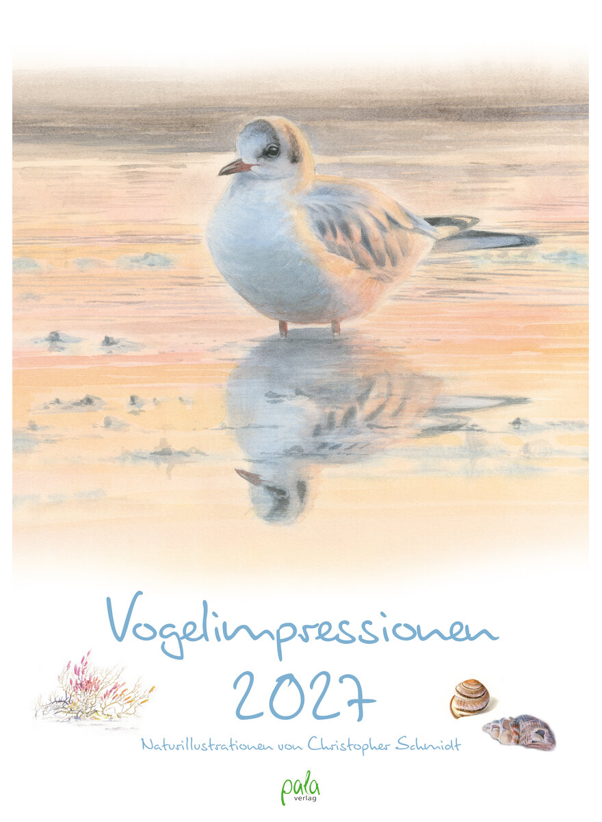 Auf diesem Bild sehen Sie das Produktbild 1 f�r KALENDER VOGELIMPRESSIONEN 2027 - CHRISTOPHER SCHMIDT
