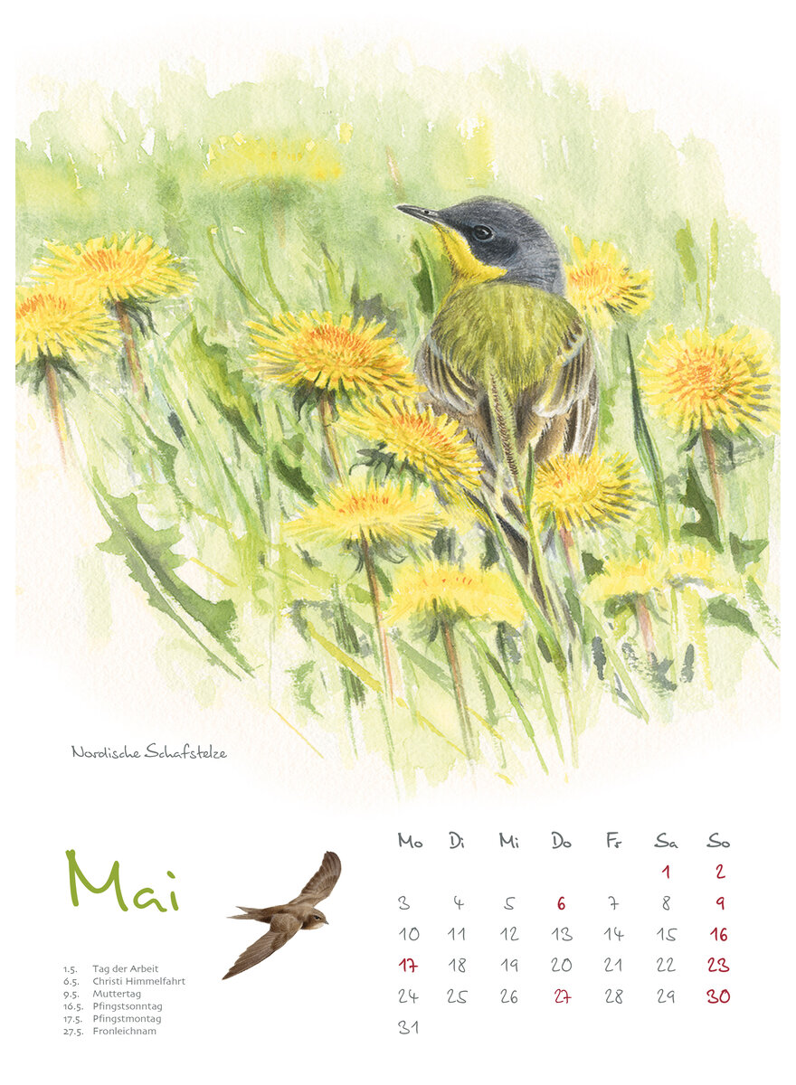 Auf diesem Bild sehen Sie das Produktbild 2 f�r KALENDER VOGELIMPRESSIONEN 2027 - CHRISTOPHER SCHMIDT